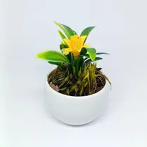 Vasinho Decorativo com Planta Artificial Hortência - Toque Real