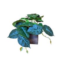 Vasinho Madeira Decorativo Com Planta Jibóia Folhagem Artificial Vasinho Madeira Decorativo Com Planta Jibóia Folhagem Artificial