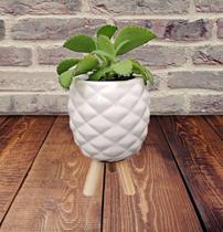 Vasinho modelo Abacaxi de Ceramica Branco com pé de Pinus