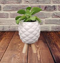 Vasinho modelo Abacaxi de Ceramica Branco com pé de Pinus - DECORE CASA