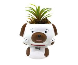 Vasinho Para Suculenta Cachorro Bebe Suculenta - Decore Casa Vasinho Para Suculenta Cachorro Bebe Suculenta - Decore Casa