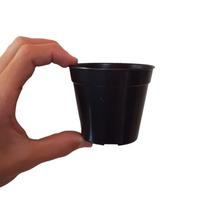 Vasinho para suculentas vaso plástico plantinha mini cacto 24 pçs - ercaplast