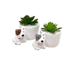 Vasinho Pitbull 2 Peças Pequeno de Ceramica Para Suculenta - Decore Casa Vasinho Pitbull 2 Peças Pequeno de Ceramica Para Suculenta - Decore Casa
