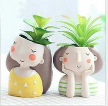 Vasinho planta