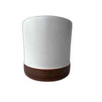 Vasinho Plantas Suculentas Bicolor Branco e Marron