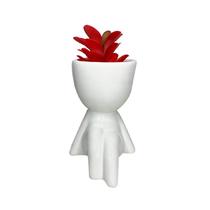 Vasinho Porcelana Bob + Suculenta Kit C/ 2 Pçs P/ Decoração Vasinho Porcelana Bob + Suculenta Kit C/ 2 Pçs P/ Decoração