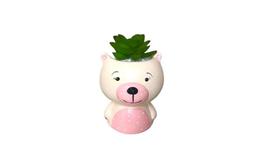 Vasinho Vaso Para Suculenta Urso Bebe Rosa Em Ceramica
