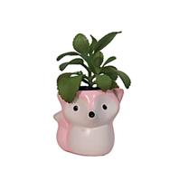 Vasinho Vaso Suculenta Raposa Rosa - Decore Casa