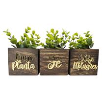 Vasinhos Cachepot Decorativo - Quem Planta Fé - Acrílico Espelhado Dourado Decoração Vasinhos Cachepot Decorativo - Quem Planta Fé - Acrílico Espelhado Dourado Decoração