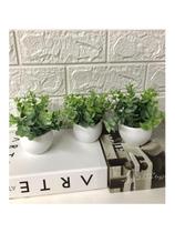 Vasinhos Decorativos Branco Redondo Com Plantas - 3 Vasos