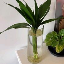 Vaso 21cm de vidro Decorativo Artesanal para Flores e Velas Flutuantes