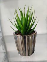 Vaso Agave Vaso Agave