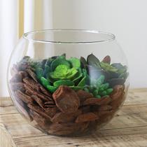 Vaso Aquario Terrario De Vidro Liso 3 litros Transparente Decorativo para arranjo flores Naturais