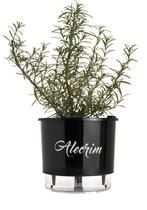 Vaso Auto Irrigável Gourmet N03 - Médio - Raiz Preto