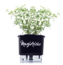 Vaso Auto Irrigável Gourmet N03 - Médio - Raiz Preto