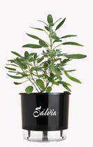 Vaso Auto Irrigável Gourmet N03 - Médio - Raiz Preto