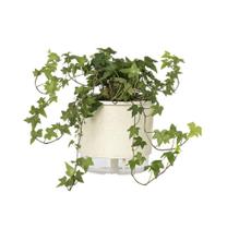 Vaso Auto Irrigável N04 Calcário - Raiz Vasos