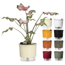 Vaso Auto Irrigável Raiz N 03 Antidengue Planta Flor Folhagem Vaso Auto Irrigável Raiz N 03 Antidengue Planta Flor Folhagem