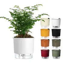 Vaso Auto Irrigável Raiz N 03 Antidengue Planta Flor Folhagem Vaso Auto Irrigável Raiz N 03 Antidengue Planta Flor Folhagem