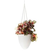 Vaso Autoirrigável 19X21 Cachepot Suspenso Branco Planta - Vasart