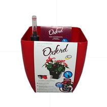 Vaso Autoirrigável C/ Medidor De Nivel 20cm Vermelho Oxford