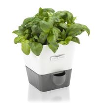 Vaso Autoirrigável Cole & Mason para Ervas de Interior 21 cm