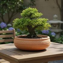 Vaso Bacia Bonsai, Terrário em Cerâmica, 40 cm x 12 cm, Capacidade 5,8 L Vaso Bacia Bonsai, Terrário em Cerâmica, 40 cm x 12 cm, Capacidade 5,8 L