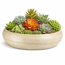 Vaso Bacia de Cerâmica para Arranjo de Cactos e Suculentas 26 x 10cm Cor Palha
