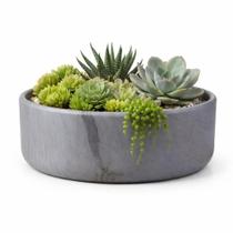 Vaso Bacia Linha Genebra Cachepot Decorativo 21x8cm -