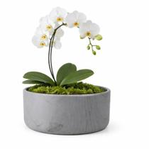 Vaso Bacia Linha Genebra Cachepot Decorativo 24x10cm - Vaso Bacia Linha Genebra Cachepot Decorativo 24x10cm -