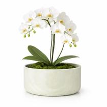 Vaso Bacia Linha Genebra Cachepot Decorativo 24x10cm - Vaso Bacia Linha Genebra Cachepot Decorativo 24x10cm -