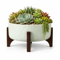 Vaso Bacia Linha Genebra com Suporte de Madeira 21cm - Vaso Bacia Linha Genebra com Suporte de Madeira 21cm -