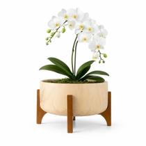 Vaso Bacia Linha Genebra com Suporte de Madeira 24cm -