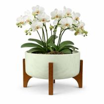 Vaso Bacia Linha Genebra com Suporte de Madeira 24cm - Vaso Bacia Linha Genebra com Suporte de Madeira 24cm -