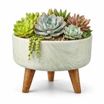 Vaso Bacia Linha Genebra com Tripé de Madeira 21x15,5cm - Vaso Bacia Linha Genebra com Tripé de Madeira 21x15,5cm -