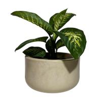 Vaso Bacia para Plantas Redondo de Polietileno 39x21cm