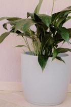 Vaso Bojo Marmorizado N3 Para Plantas Flores Jardim Casa Sala - Arte Decore