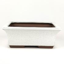 Vaso Bonsai Retangular (19x14x7) Cm Bege Vaso Bonsai Retangular (19x14x7) Cm Bege