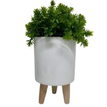 Vaso branco cerâmico médio com tripé de madeira e planta