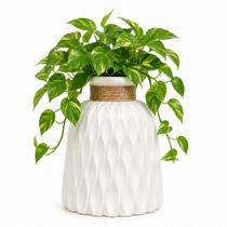 Vaso Branco Clean para Ambientes Modernos