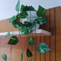 Vaso branco com jiboia artificial Vaso branco com jiboia artificial