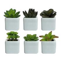 Vaso Branco Decorativo em Ceramica com Suculenta