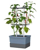 Vaso BUZZY Charly Chili com Autoirrigação 4,5 L Vertical