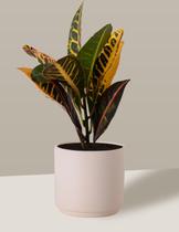 Vaso Cachepô de Cerâmica para Plantas Creme PEQ