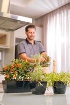 Vaso Cachepô de Plástico Elegance Redondo N 1 Nutriplan cor Vaso Cachepô de Plástico Elegance Redondo N 1 Nutriplan cor