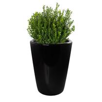 Vaso Cachepot 33cm Tamanho P Preto Alto Brilho Pozzani Vaso Cachepot 33cm Tamanho P Preto Alto Brilho Pozzani