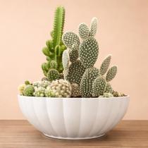 Vaso Cachepot Bacia Moranga Decorativo para Plantas 35cm Cor:Branco Vaso Cachepot Bacia Moranga Decorativo para Plantas 35cm Cor:Branco