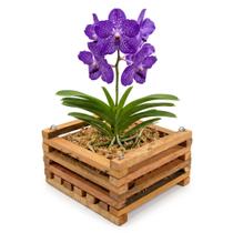 Vaso Cachepot De Madeira Quadrado 11x20 Para Orquídeas
