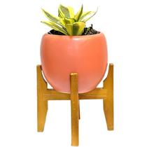 Vaso Cachepot de Mesa 15cm Porcelana com Tripé de Madeira