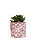 Vaso Cachepot em Cimento com Planta Artificial Suculenta